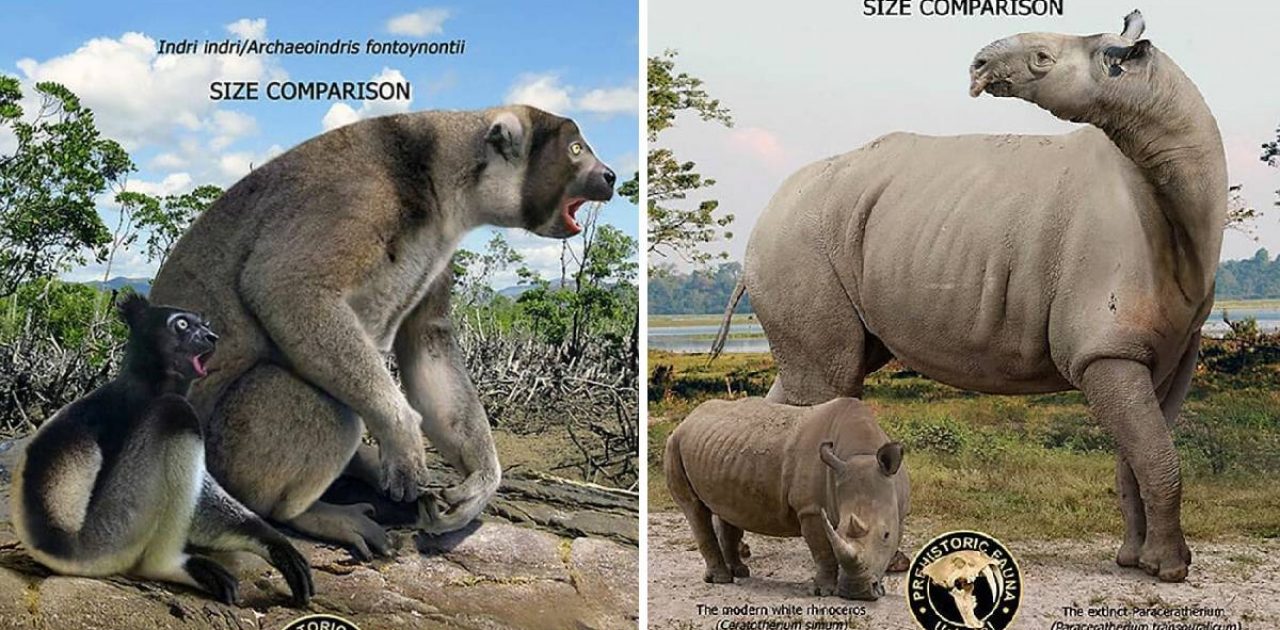 antepassados gigantes capa