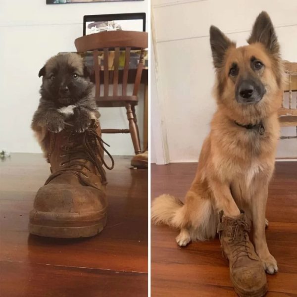 antes e depois 05