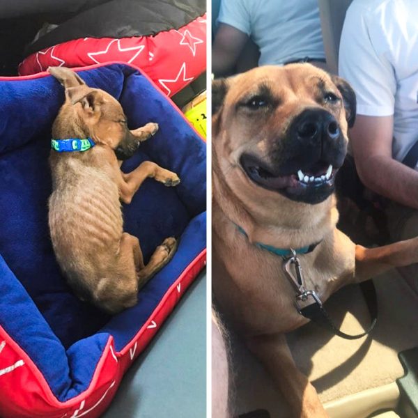 antes e depois 15