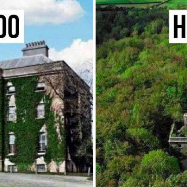 antes e depois capa