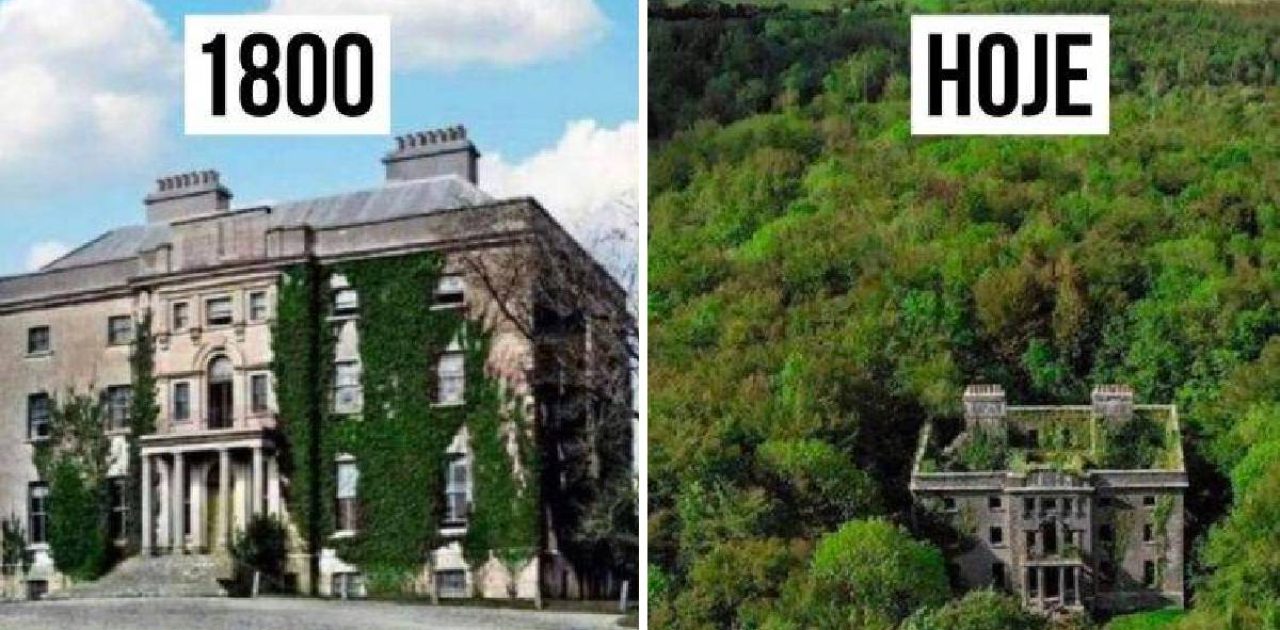 antes e depois capa