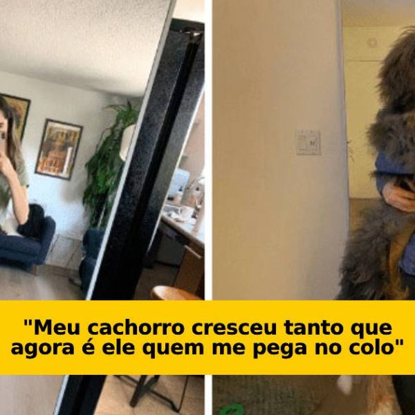 antes e depois capa