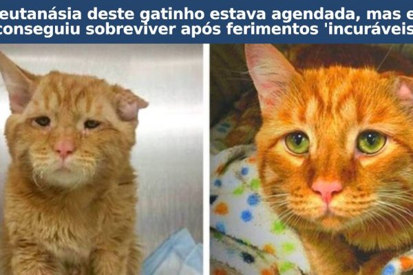 antes e depois