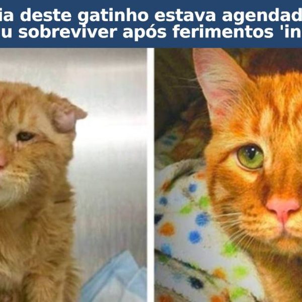 antes e depois