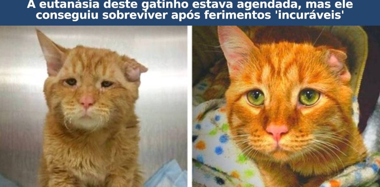 antes e depois