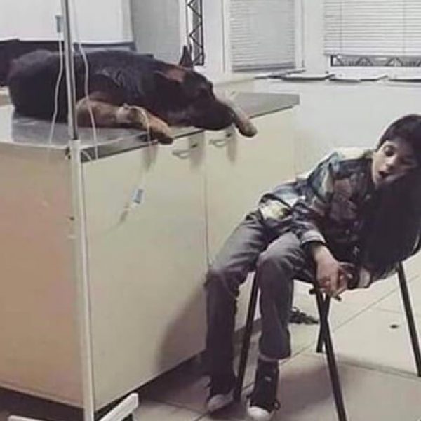 ao lado do amigo capa