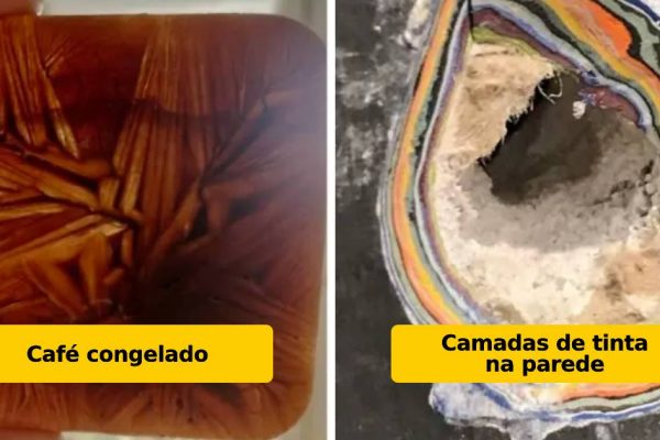 artes acidentais capa