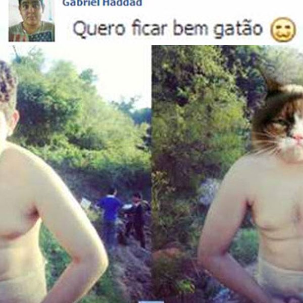 bem-gatao