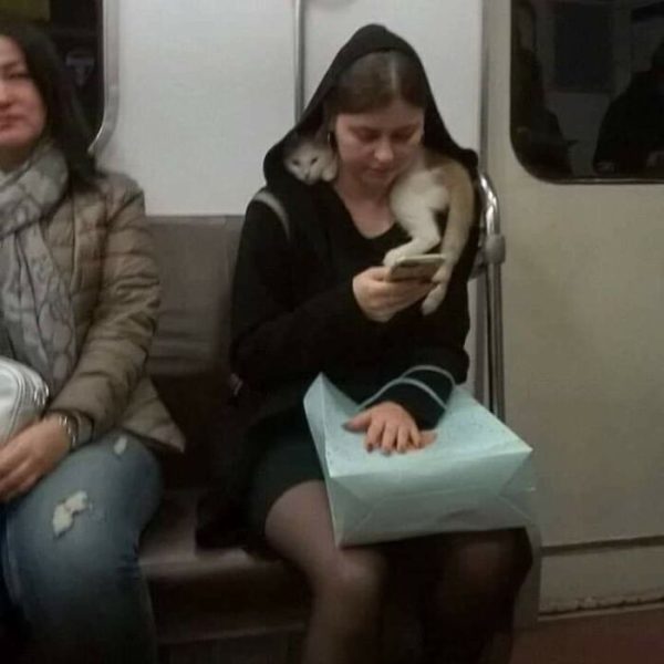 bizarrices no metrô 10