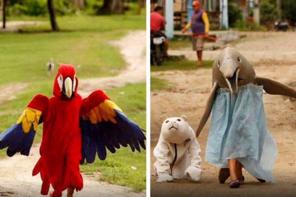 bloquinha amazônico capa