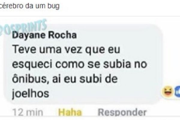 bug no cérebro capa