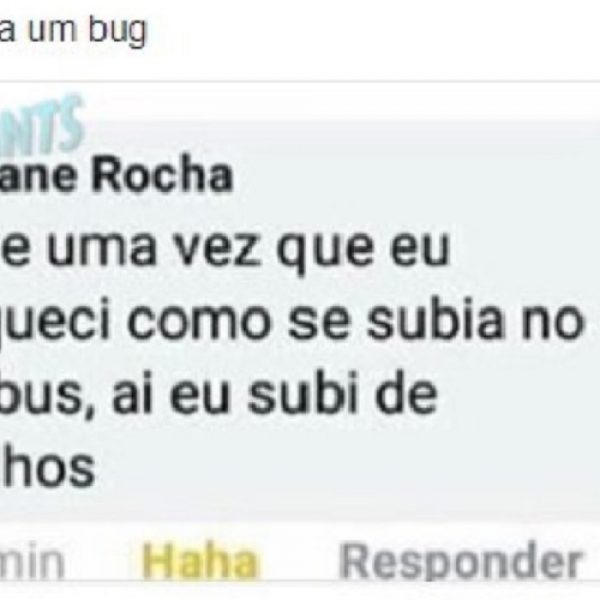 bug no cérebro capa