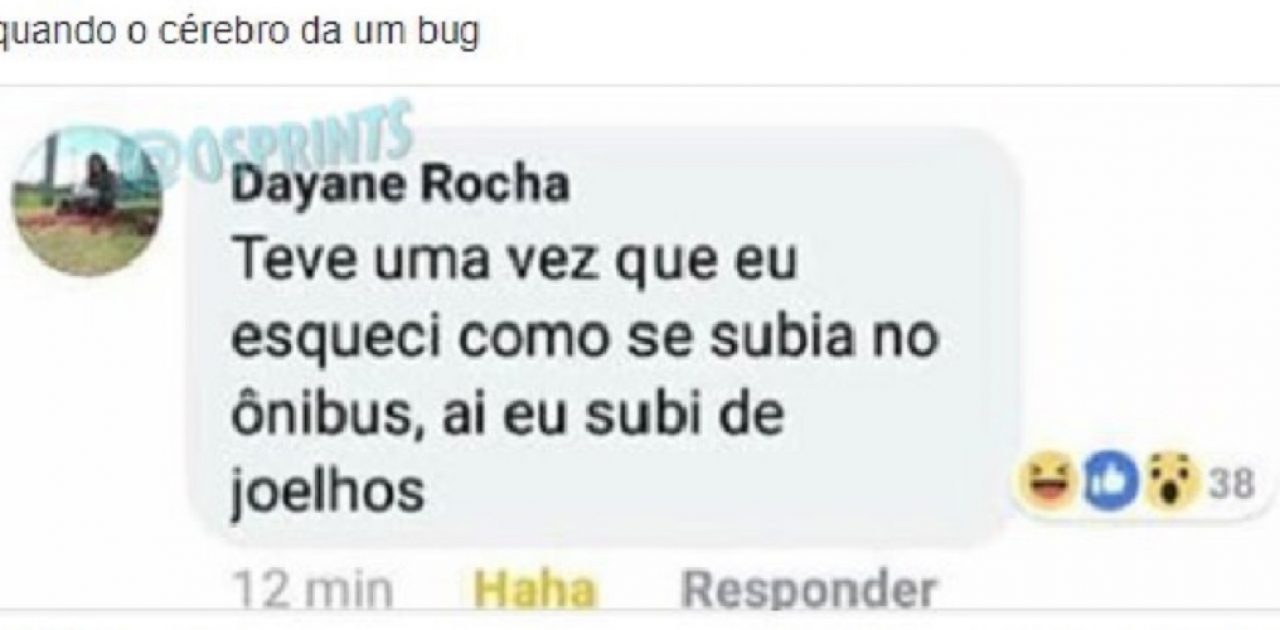 bug no cérebro capa