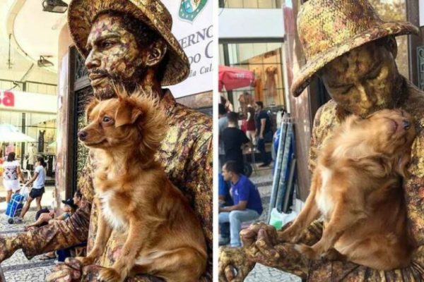 cachorrinha estátua capa