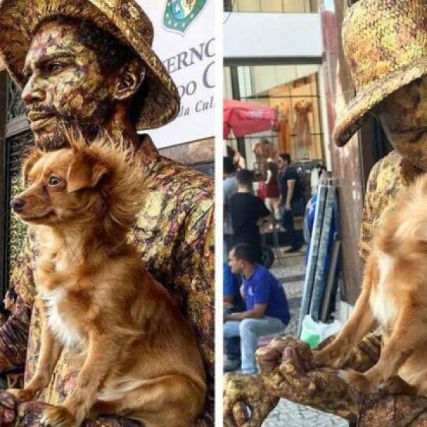 cachorrinha estátua capa