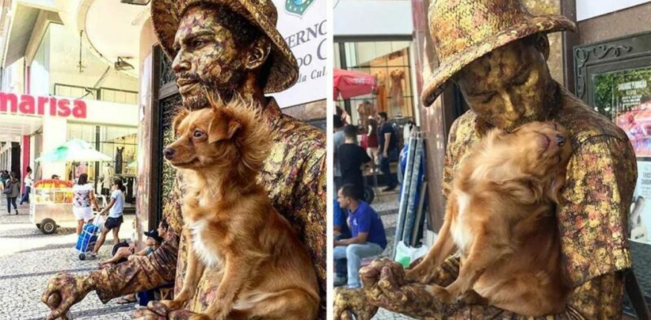 cachorrinha estátua capa