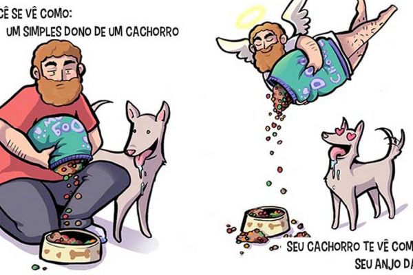 cachorro