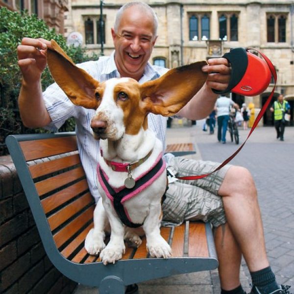 cachorros pelo mundo 01