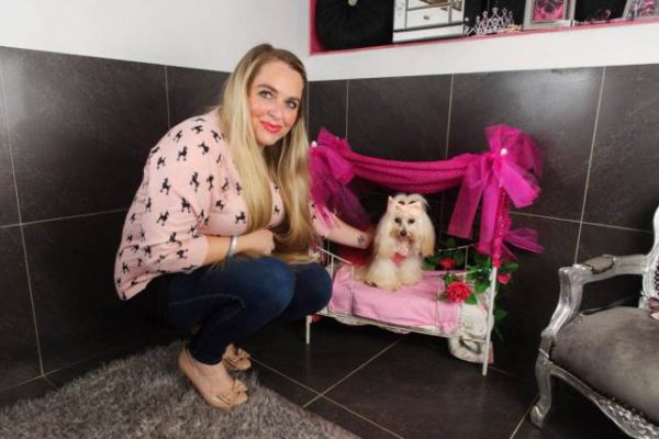 VIDEO AVAILABLE CATERS NEWS.  (PICTURED: BETTY IN HER FOUR POSTER BED)  Never mind a silver spoon - meet the pampered pooch that was born with a diamond fork in her mouth. Spoilt dog Betty lives the high life on the family farm in Essex with her owner Hayley Dexter who has showered the three-year-old pup with lavish gifts. And Hayley and her family have splashed out a whopping ¬£30,000 on Betty since they got her as a tiny puppy three-years-ago. The young Maltese is the envy of the other dogs on the block as she boasts her own bedroom, custom made four poster bed and a wardrobe filled with stylish outfits. She is also fed by hand from her very own Swarovski fork - and is never seen without her signature bling of either a diamond collar or a customised pearl necklace.  SEE MERCURY PRESS