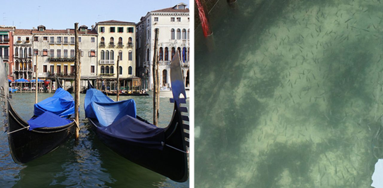 canais de veneza capa