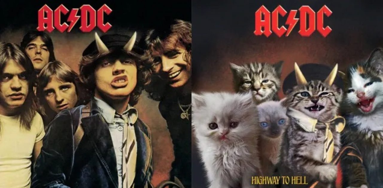 capas com gatos 01