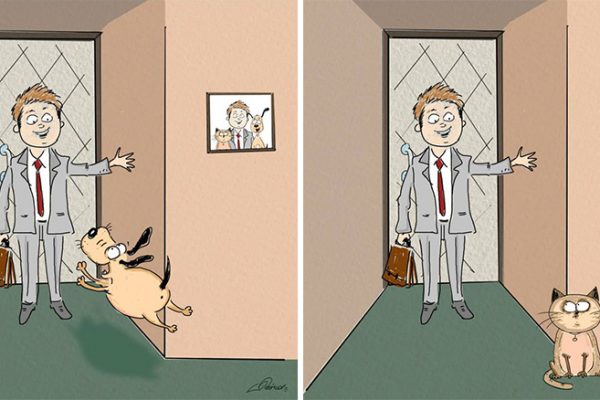 cats-vs-dogs-funny-illustrations-bird-born-2