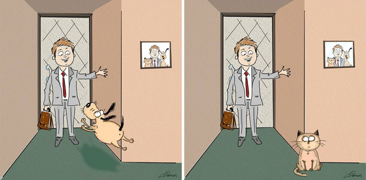 cats-vs-dogs-funny-illustrations-bird-born-2