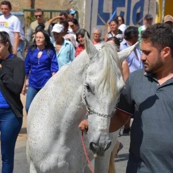 cavalo dando adeus 02