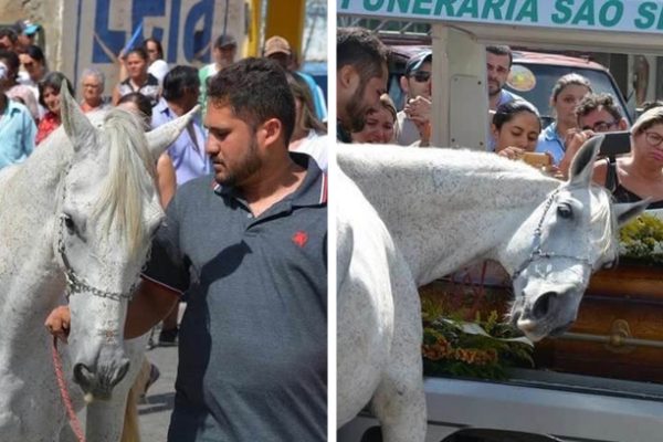 cavalo triste capa