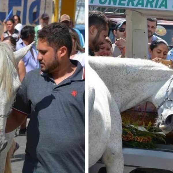 cavalo triste capa