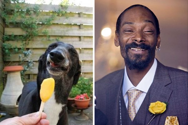 Snoop Dog