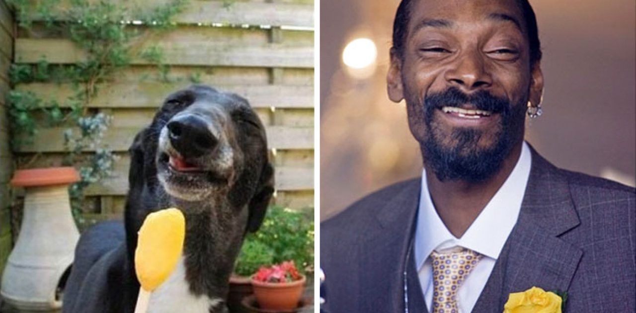 Snoop Dog