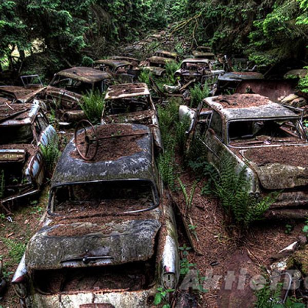 chatillon-car-graveyard-abandoned-cars-cemetery-belgium-10