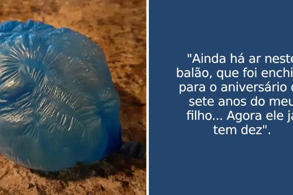 coisas da vida capa
