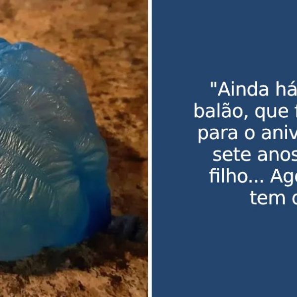 coisas da vida capa