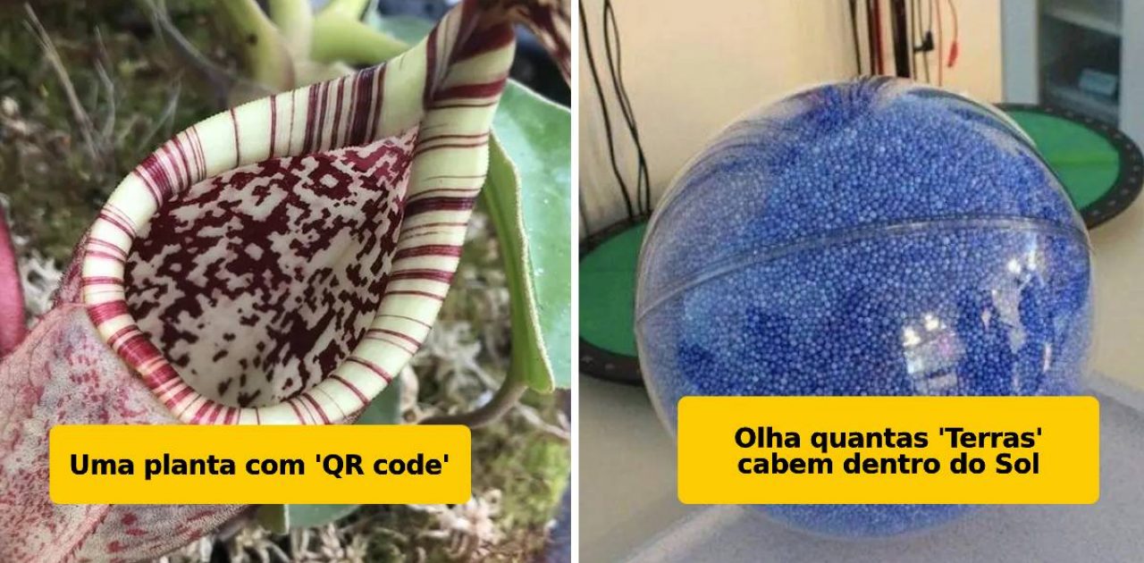 coisas inesperadas capa