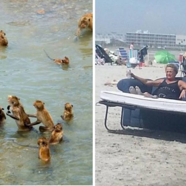 coisas na praia capa