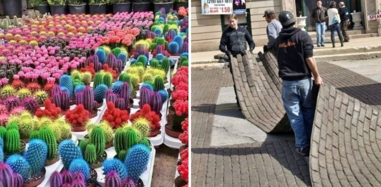 coisas para se ver capa
