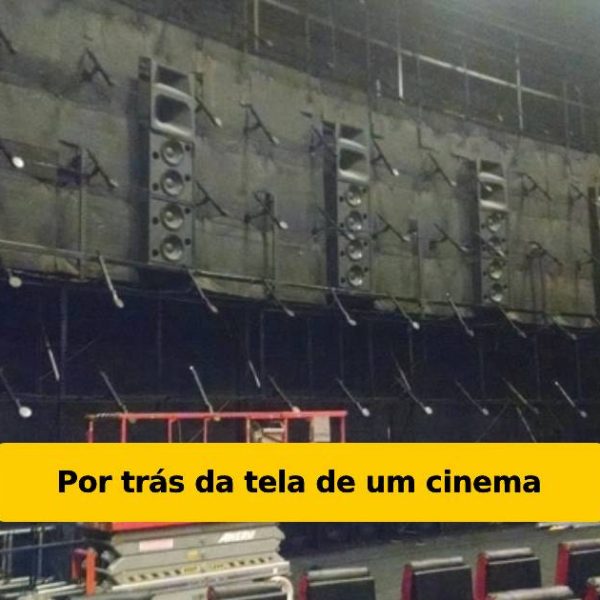 coisas raras capa