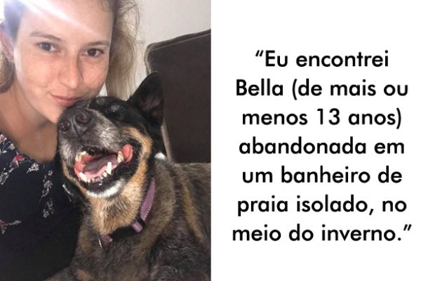 conheceu o cão capa