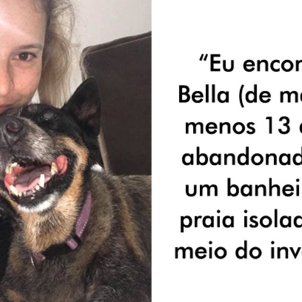 conheceu o cão capa