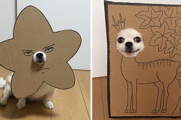 cosplay