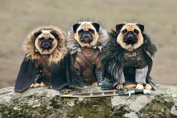 Robb Stark, Ned Stark e Jon Snow