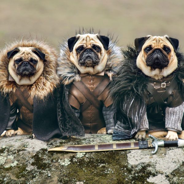 Robb Stark, Ned Stark e Jon Snow