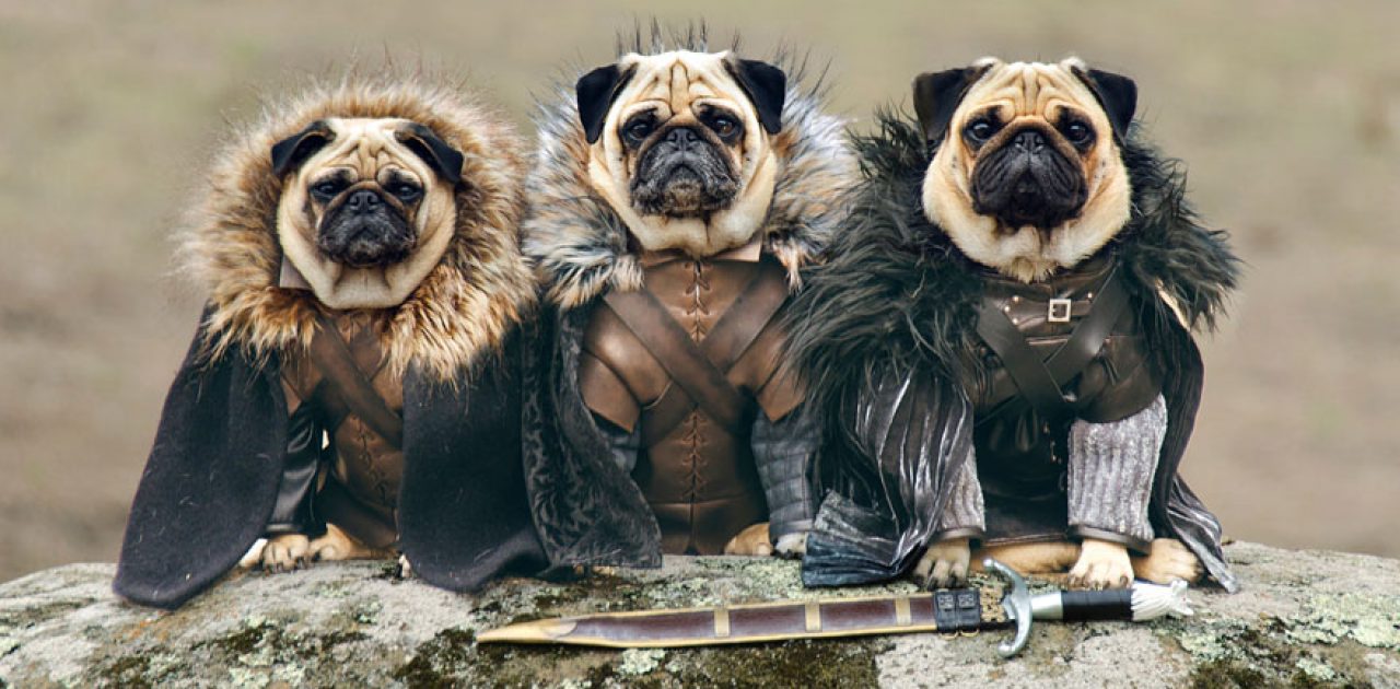 Robb Stark, Ned Stark e Jon Snow