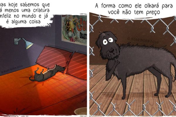 cão adotado capa