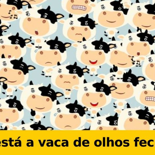 desafios capa
