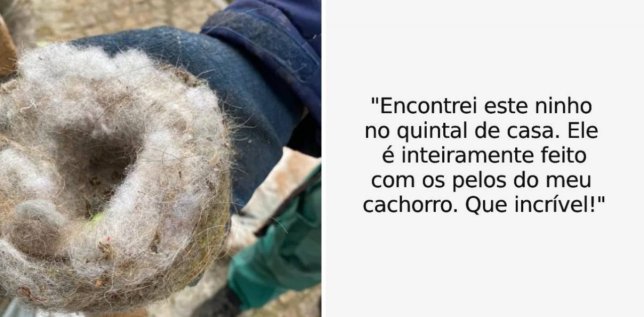 descobertas acidentais capa