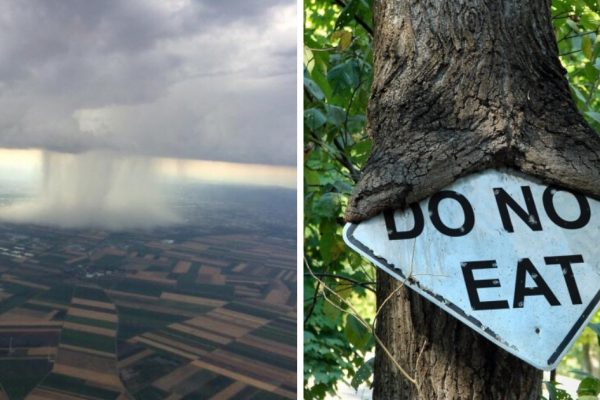 20 imagens que mostram que a natureza não está nem aí para os seres humanos