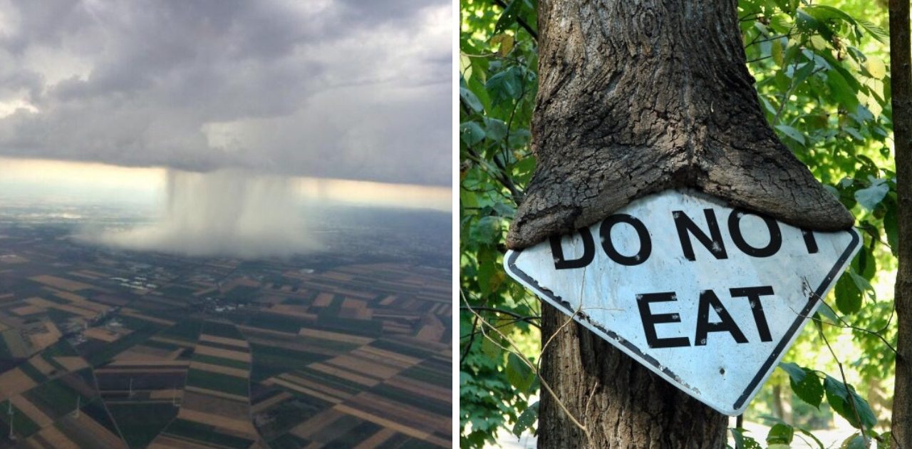 20 imagens que mostram que a natureza não está nem aí para os seres humanos